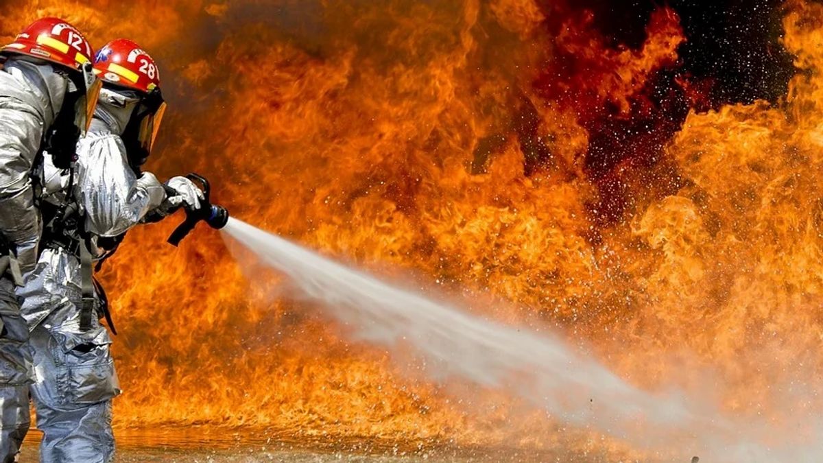 Kebakaran Melanda Batu Putih Jayapura, BPBD Dirikan Tenda dan Dapur Umum untuk 158 Jiwa Terdampak