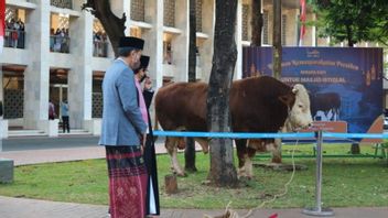 Jumlah Hewan Kurban di Masjid Istiqlal Sebanyak 48 Ekor, Baru Disembelih dan Dibagikan pada Senin Besok