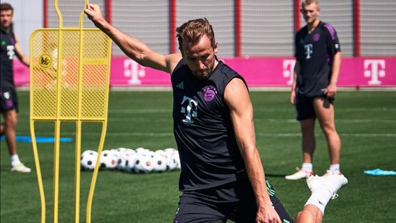 哈里·凯恩(Harry Kane)开始获得批评压力,托马斯·图切尔(Thomas Tuchel)