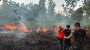 Petugas Gabungan Padamkan 26 Hektare Lahan Terbakar di Barito Selatan