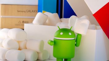 Google S'avère Utiliser Encore Des Noms De Collations Pour Android 11