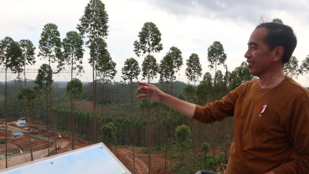 President Jokowi Shows The Location Of The Presidential Palace In IKN