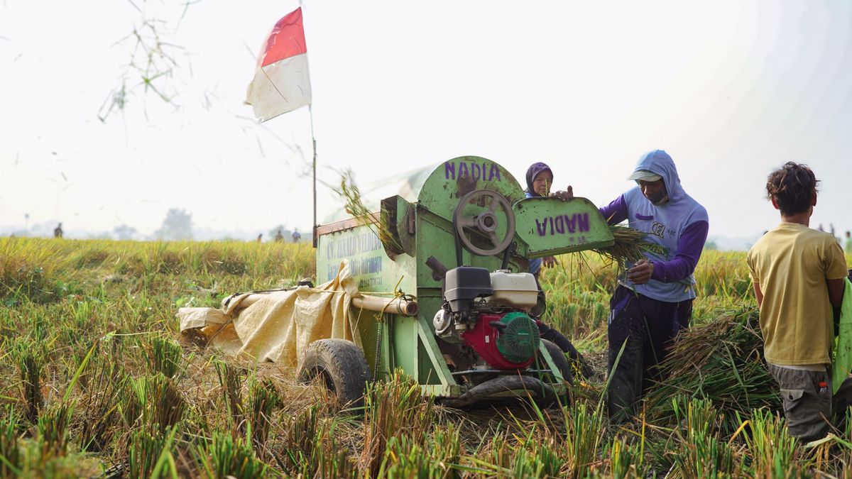 美国农业进口0 Persen,DPR要求国家加强Bulog和ID FOOD
