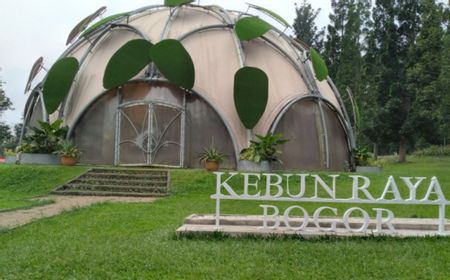 Wisata Glow Kebun Raya Bogor Ditutup dari Pengunjung