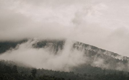 5 Sosok Misterius Penguasa Puncak Gunung Salak Bogor