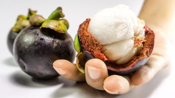 Anyone Who Can't Eat Mangosteen? Check List Here