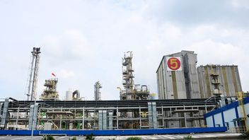 Pupuk Kaltim Bangun Factory Baru Di Fakfak, Nilai Investasi Tembus Rp15,38 Triliun