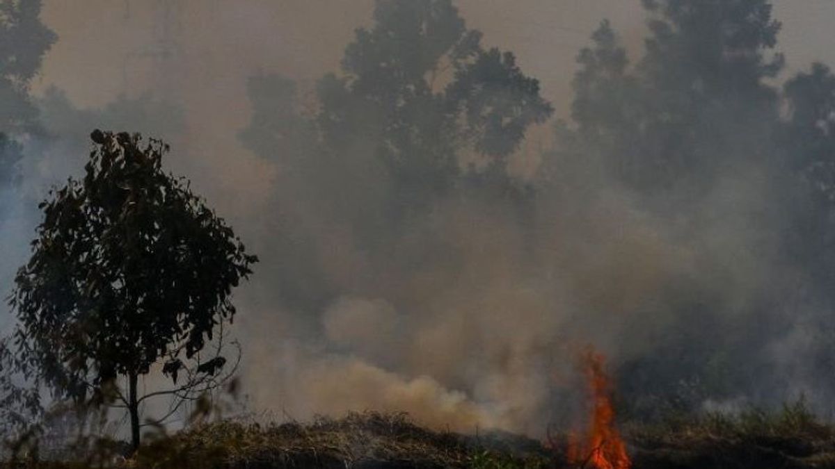 BNPB、森林と林業の煙が近隣諸国に悪影響を及ぼさないように保証