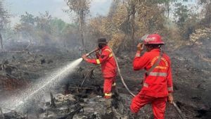 Karhutla di Kampar Riau Meluas Capai 30 Hektare