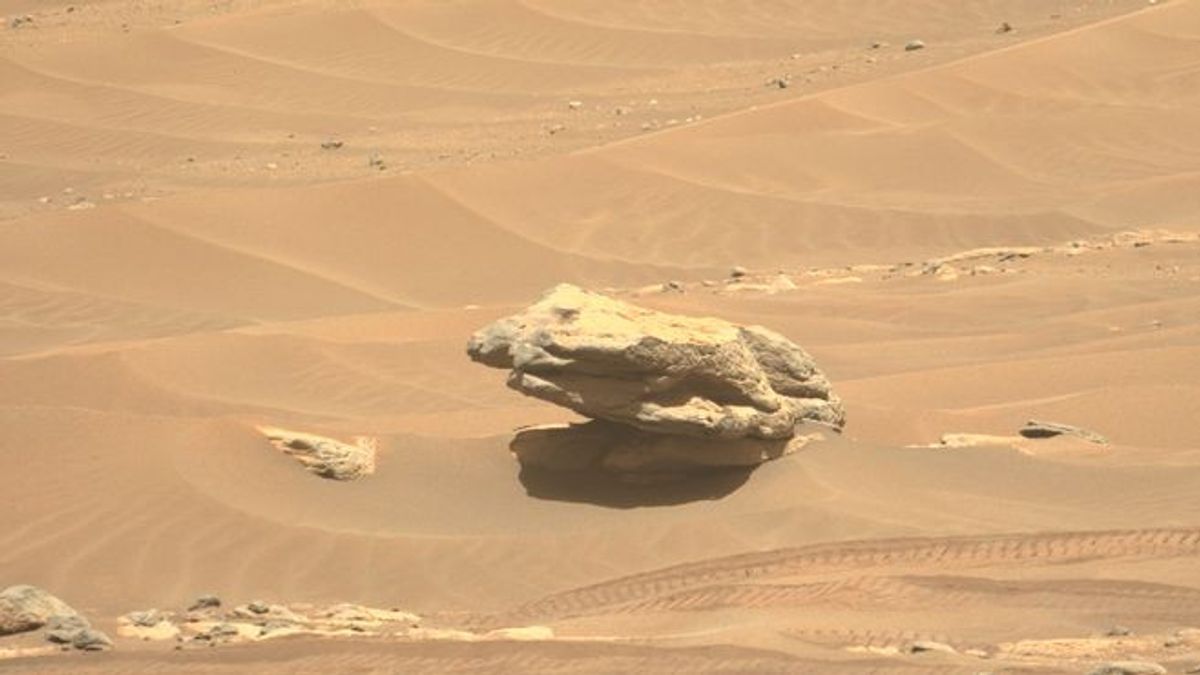 Perseverance Temukan Susunan Batu Mirip Tangga dan Katak Raksasa di Planet Mars
