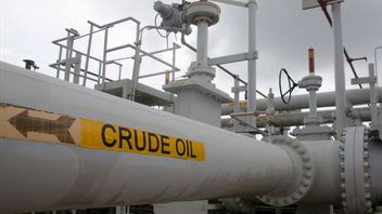 Down, Indonesia's Crude Oil Price In May 2024 Is 79.78 US Dollars Per Barrel