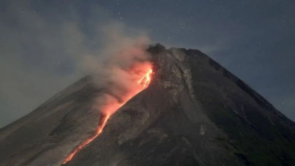 Seminggu Terakhir, Gunung Merapi Mengeluarkan 160 Kali Guguran Lava