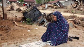  Kementerian LH Cabut Persetujuan Lingkungan 28 Perusahaan di Aceh, Sumut hingga Sumbar