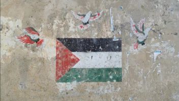 Israël : 14 militants du bateau de Handala : grève de la nourriture, reconnaissant la violence physique