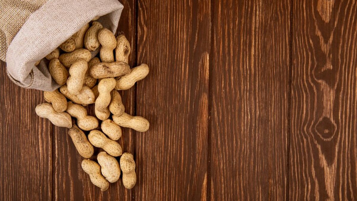 5 نصائح لغرس جوز الهند من أجل أن يكون سريعا في التعادل ، دعونا نتبع الأدلة!