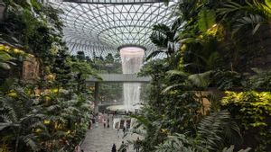 3 Bandara Paling Rawan Bagasi Hilang, Changi Airport Salah Satunya!