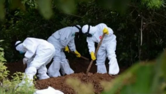 スウルトラからの悲しみのニュース、COVID-19のために合計228人が死亡