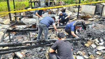 in, un groupe d'entre eux a découvert le feu de Jayapura, un groupe d'accusations criminelles, une ONG, une ONG, un groupe d'accusations criminelles, un groupe d'enquête criminelle, un groupe d'enquête criminelle, un groupe d'enquête criminelle, un groupe d'enquête criminelle, un groupe d'enquête criminelle, un groupe d'enquête criminelle, un groupe d'enquête criminelle, un groupe d'enquête criminelle, un groupe d'enquête criminelle, un groupe d'enquête criminelle, un groupe d'enquête criminelle, un groupe d'enquête criminelle, un groupe d'enquête criminelle, un groupe d'enquête criminelle, un groupe d'enquête criminelle, un groupe d'enquête criminelle, un groupe d'enquête criminelle.