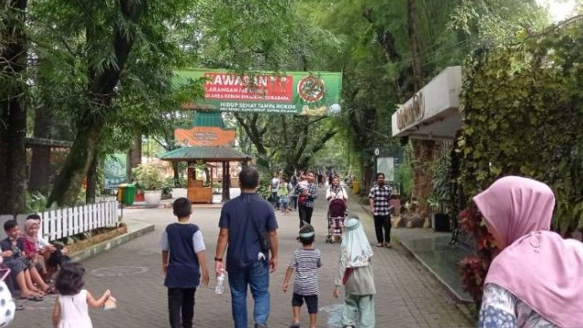 Segera Hadir <i>Night Zoo</i> di Kebun Binatang Surabaya, Pengelola Rampungkan Pemetaan