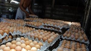 Harga Murah dan Sekaligus Bentuk Syukur, Peternak di Blitar Jatim Bagikan Telur dan Ayam ke Warga