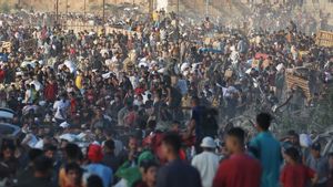  6 Orang di Gaza Tewas-160 Lainnya Terluka Saat Menunggu Bantuan 