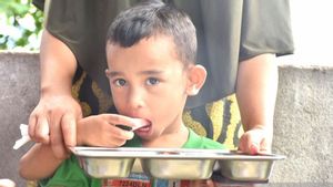 Ramai di Medsos, BGN Pastikan MBG Tidak Dibagikan Saat Sahur