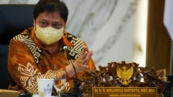 Golkar Masih Terus Cari Cawapres Pendamping Airlangga di 2024