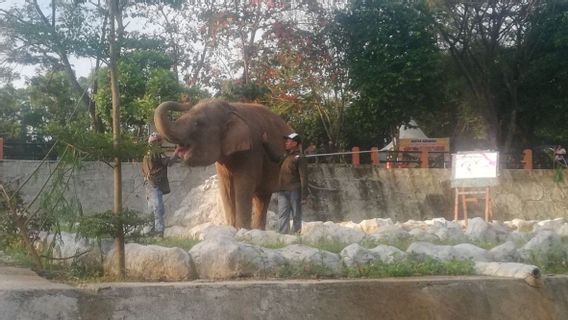 Semarang Zoo Terima Dana CSR Rp750 juta, Kembangkan Potensi Wisata