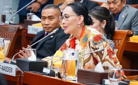 Legislator NasDem Sarankan Pemerintah Bentuk Badan Khusus Tangani Judol