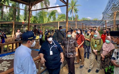 Riau Bebas Kabut Asap, Menteri Siti Nurbaya: Terima Kasih Kerja Kerasnya