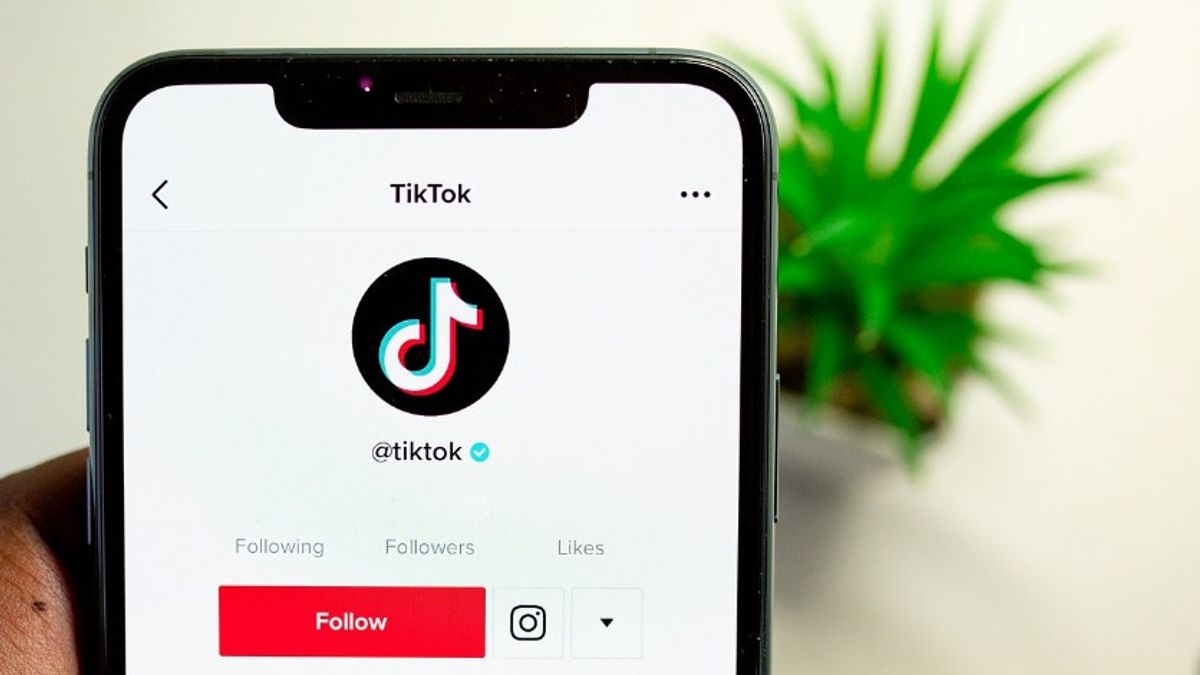 How To Include Website Link In TikTok Bio To Increase Visitors