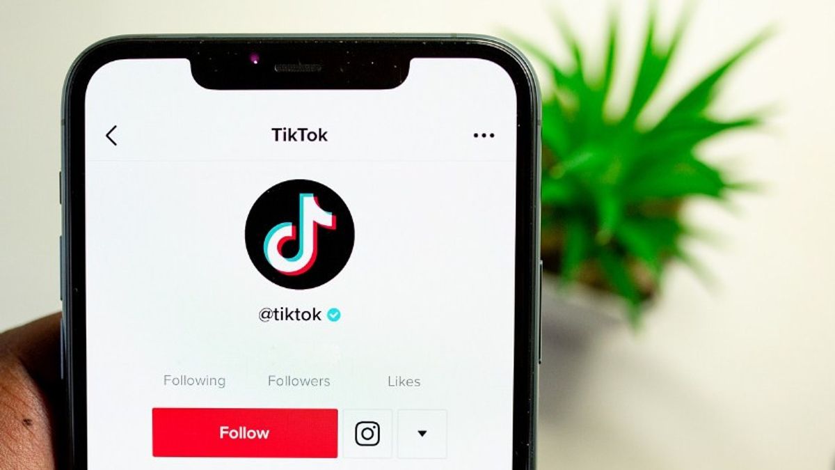 كيفية تضمين رابط موقع الويب في TikTok Bio لزيادة عدد الزوار