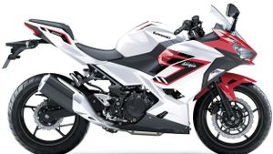 Kawasaki Ninja 250 Dapat Penyegaran, Mulai Dijual November