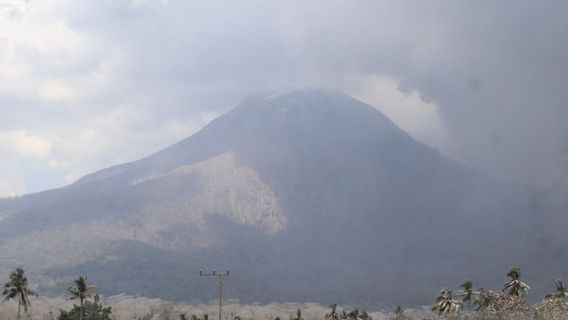 BMKGは、レウォトビ山の雨の脅威を男性に思い出させる