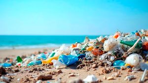 Ahli Peringatkan Tiga Cara Mikroplastik Menyusup ke Tubuh