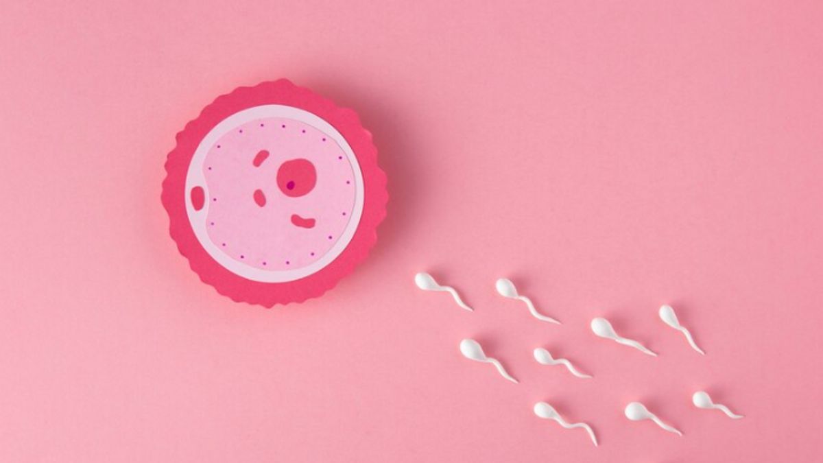 Kapan Waktu yang Tepat untuk Transfer Embrio, Tanda Harus Jalani Bayi Tabung