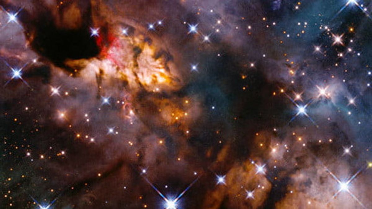哈勃望远镜捕捉天空中类似虾的星云