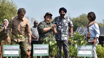 World Bank President Visits Mangrove Rehabilitation In Banten