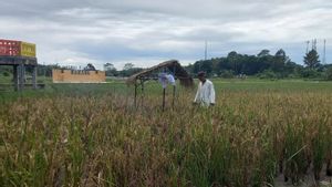 La valeur d’échange des agriculteurs de Babylone a augmenté de 0,81%.