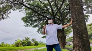Doni Monardo Dikenang Pejuang Lingkungan, Menko PMK: Bandara di Tanah Air Ditanam Almarhum Trembesi