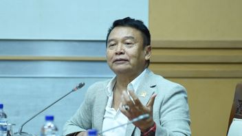 Coreng Citra TNI、下院議員は、デリセルダンでの迫害の加害者を厳しく罰するよう求めています