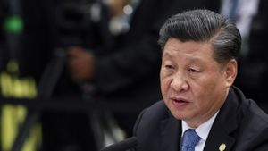 Telepon Kanselir Olaf Scholz, Presiden Xi Jinping Harap Jerman Mampu Stabilkan Hubungan China - Uni Eropa