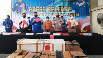 Ditpolair Polda East Java Reveals Smuggling Of 48 Thousand Lobster Seeds