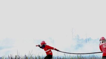 Karhutla Smoke In Belitung, Rarely Viewed In Tanjung Pandan Disturbed