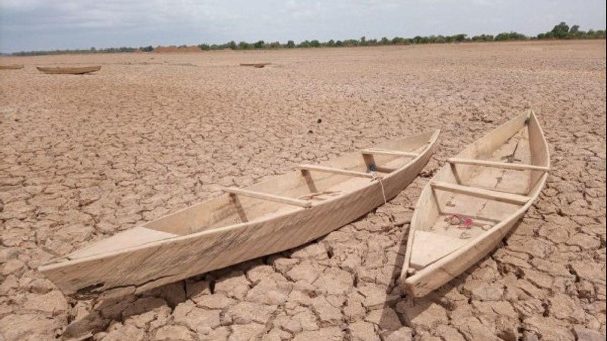 Extremely Hot! Temperature in Papua Province Reaches 35 Degrees Due to El Nino