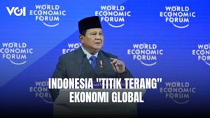 Di Davos, Presiden Prabowo Kutip Pernyataan IMF: Indonesia Menjadi 