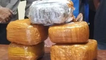 2 Penumpang KM Ciremai Bawa 6 Kg Ganja Diamankan di Pelabuhan Jayapura