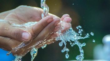 正しい方法でムタワシタの糞便をきれいにする方法、これが方法です