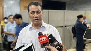 Harga Kelapa Meroket, Mentan Sebut Ekspor ke China-Eropa jadi Biang Keroknya