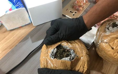 Bea Cukai Batam Temukan 765 Gram Ganja Diselundupkan di Kaleng Makanan